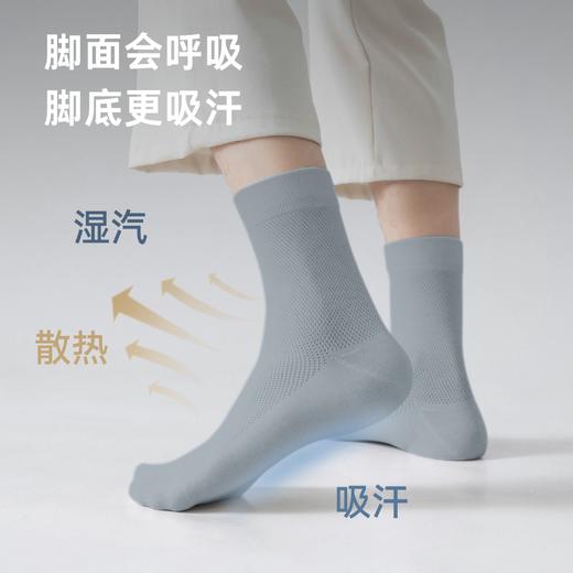 【10A级抑菌 透气清凉 清华学姐创立品牌】狂野橘子·男女透气云感袜（7双装） 商品图1