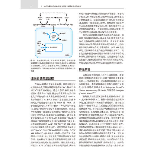 Cottrell Patel 神经外科麻醉学 第7七版 韩如泉 周建新 第7版更新了生理微创技术脑氧监测神经介入治疗等前沿进展 人民卫生出版社 商品图4