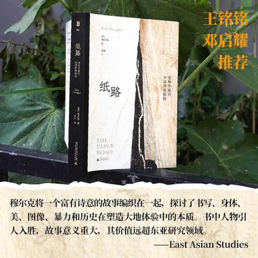 纸路:植物学家的中国西南探险 商品图1
