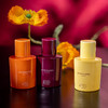 祖玛珑 蔬菜系列 丝绒南瓜/胡萝卜花/红甜菜根 26年新香 Jo Malone Velvety Butternut/Carrot Blossom/Scarlet Beetroot 分装 商品缩略图2