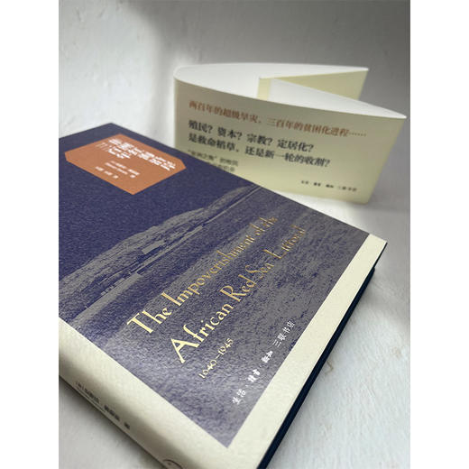 非洲红海沿岸三百年 商品图6