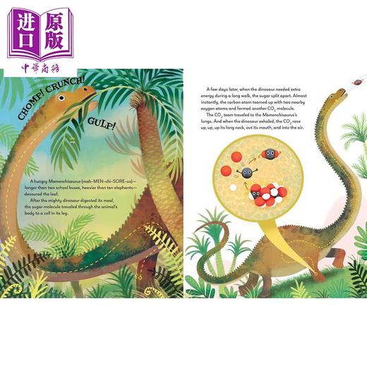 【中商原版】碳原子在时空穿梭中永无止境的旅程 From Bam To Burp 英文原版 儿童科普绘本 自然科学读物 少儿百科 进口童书 商品图1