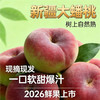 新疆大蟠桃 树上自然熟 甜软多汁 皮薄易剥 核小肉厚 当季新鲜水果 商品缩略图1