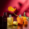 祖玛珑 蔬菜系列 丝绒南瓜/胡萝卜花/红甜菜根 26年新香 Jo Malone Velvety Butternut/Carrot Blossom/Scarlet Beetroot 分装 商品缩略图4
