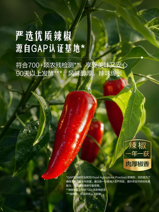 MM 山姆 李锦记 葱香蒜蓉辣椒酱 226g*2/3瓶 商品图2