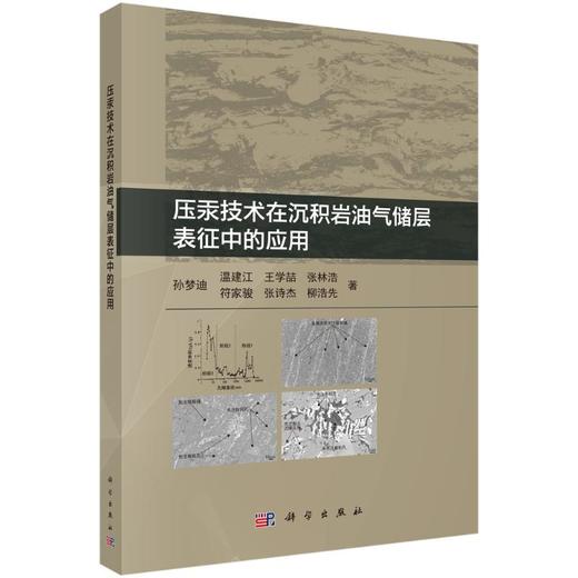 压汞技术在沉积岩油气储层表征中的应用 商品图0