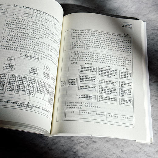 匠心培育 明日基石 一所普通高中学生“匠心素养”培育的实践与研究 汤元英 商品图13