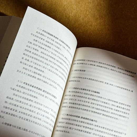 建设性教育 给予每一个生命建设性力量 刘金华 特色学校聚焦丛书 商品图10
