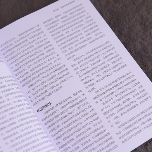 篮球运动体能训练指南 篮球技巧技战术教学训练书籍个人技术 商品图3