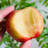 珍珠枣油桃 | 一口咬下去，炸裂浓郁桃子味龙卷风般“袭击”鼻腔！ 商品缩略图2
