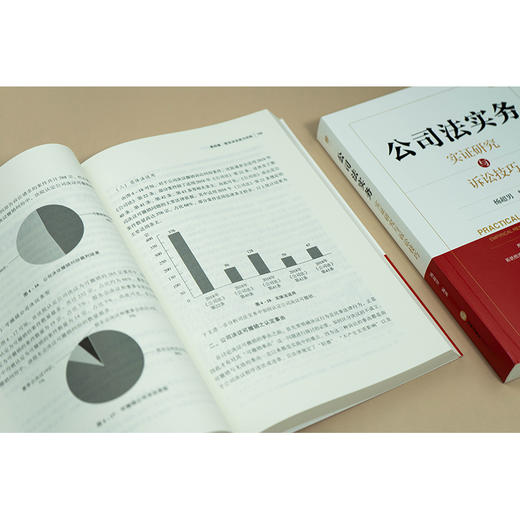 公司法实务：实证研究与诉讼技巧 杨超男 编著 法律出版社 商品图1