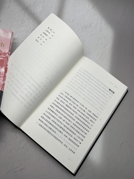 二十世纪：一部世界历史 商品图7