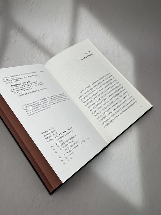 二十世纪：一部世界历史 商品图9