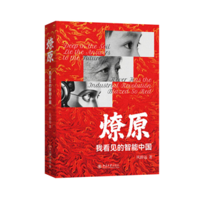 燎原：我看见的智能中国 风辞远 北京大学出版社