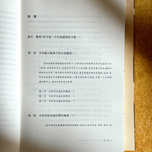 建设性教育 给予每一个生命建设性力量 刘金华 特色学校聚焦丛书 商品图6