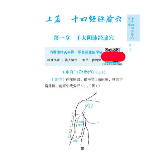 腧穴定位与功效主治速查速记 轻松学中医系列 周丹 主编 本书是一本兼具规范性与实用性的经络腧穴学习手册 中国医药科技出版社 商品图4