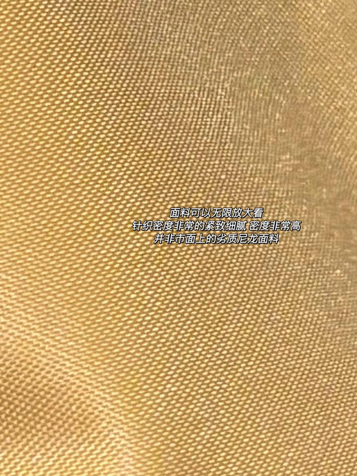 龙Le Pliage Original系列 mini 饺子包062108 商品图12