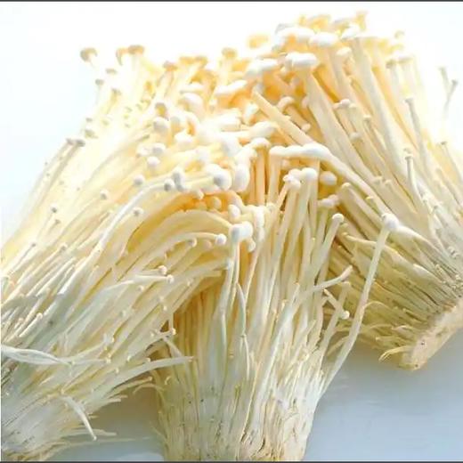 【YMHR】金针菇 商品图1