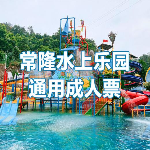 【2张十堰主城区包邮】清凉一夏十堰常隆水上乐园儿童/成人票 纸质票 1张  商品图5