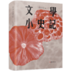 文学小史记 当代名家散文评论集 林语堂朱自清丰子恺沈从文钱锺书萧红杨绛汪曾祺等作家作品赏析 中国现当代文学史文学随笔书籍 商品缩略图3