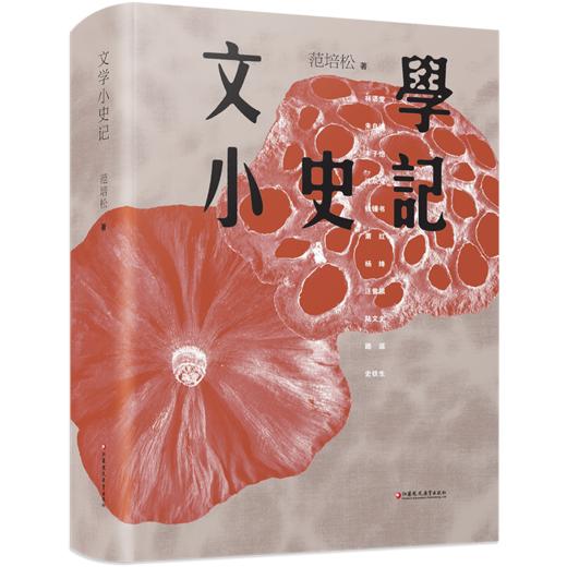 文学小史记 当代名家散文评论集 林语堂朱自清丰子恺沈从文钱锺书萧红杨绛汪曾祺等作家作品赏析 中国现当代文学史文学随笔书籍 商品图3