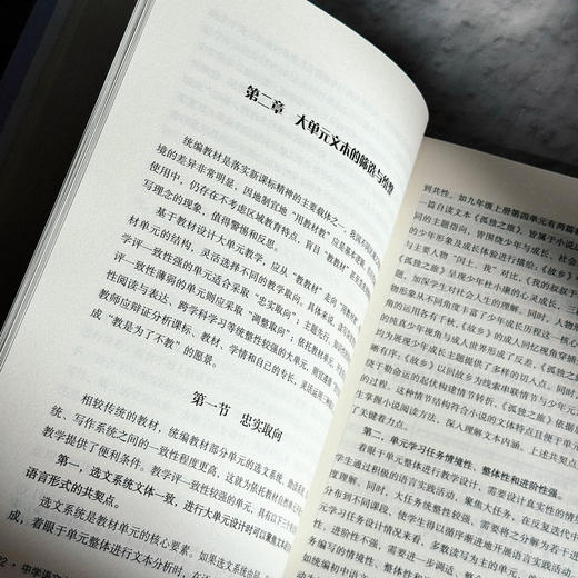 中学语文大单元教学的理论与实践 大夏书系 语文之道 任明满 商品图10