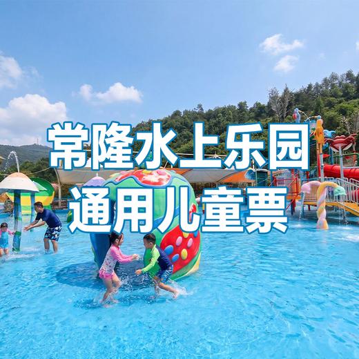 【2张十堰主城区包邮】清凉一夏十堰常隆水上乐园儿童/成人票 纸质票 1张  商品图6
