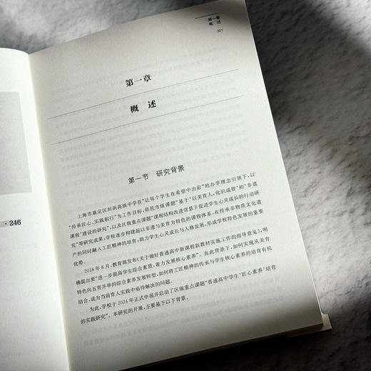 匠心培育 明日基石 一所普通高中学生“匠心素养”培育的实践与研究 汤元英 商品图7