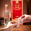 热卖中！【顺丰/京东发货】剑南春 剑南荣耀·唐之春 52%vol浓香型白酒 商品缩略图1