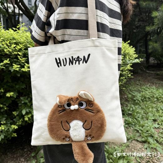 湖南省博物馆汉小狸毛绒单肩包可爱大容量帆布包学生女孩生日礼物 商品图1