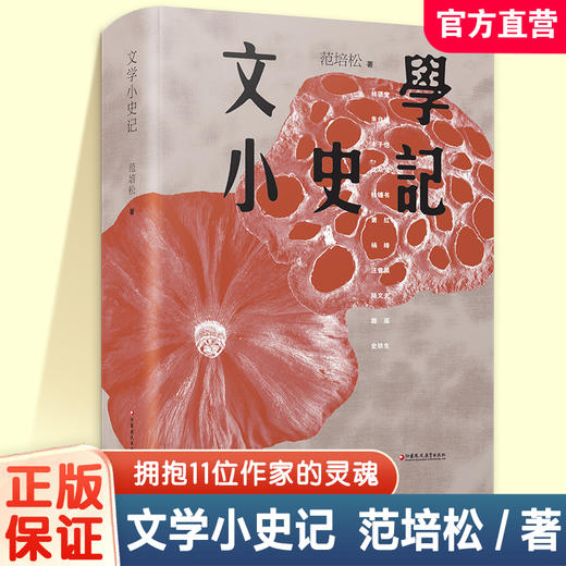 文学小史记 当代名家散文评论集 林语堂朱自清丰子恺沈从文钱锺书萧红杨绛汪曾祺等作家作品赏析 中国现当代文学史文学随笔书籍 商品图0