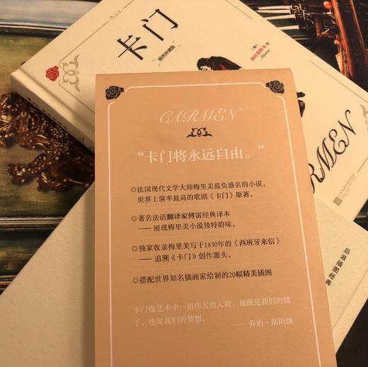 后浪正版                       卡门（插图珍藏版）后浪插图经典系列名家名译名画 收录传世插画精心打磨译本 穿越百年的女性成长小说 关于爱与自由的心碎故事 商品图4