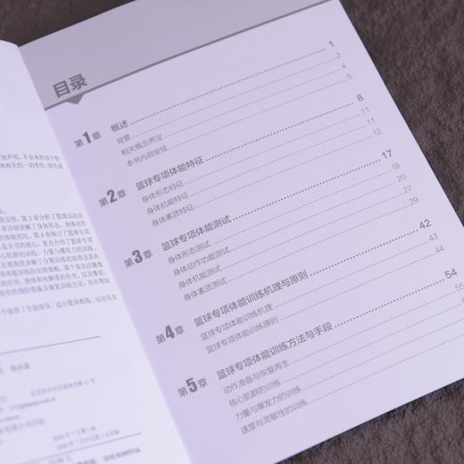 篮球运动体能训练指南 篮球技巧技战术教学训练书籍个人技术 商品图1