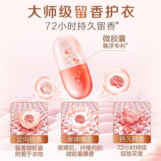 立白大师香氛（组合）1000g*2袋 商品图2