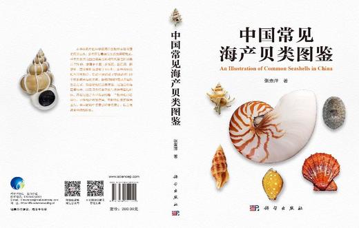 中国常见海产贝类图鉴 张素萍 9787030851055 商品图6