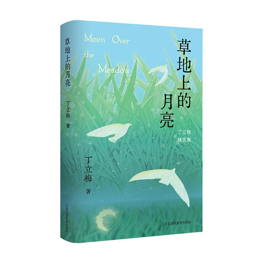 草地上的月亮 丁立梅散文自选集精装 青少年中学生课外读物中考现代文阅读素材治愈暖心散文 江苏凤凰教育出版社 商品图4