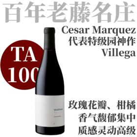 【TA100满分！代表特级园神作】  2023 凯撒马尔克斯酒庄贝耶卡斯园干红葡萄酒  Cesar Marquez  Villegas