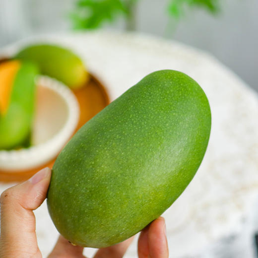 【顺丰快递】 四川攀枝花 椰香芒 高山种植独特椰奶香味 果肉细腻爽滑 浓甜芳香 老少皆宜 商品图5