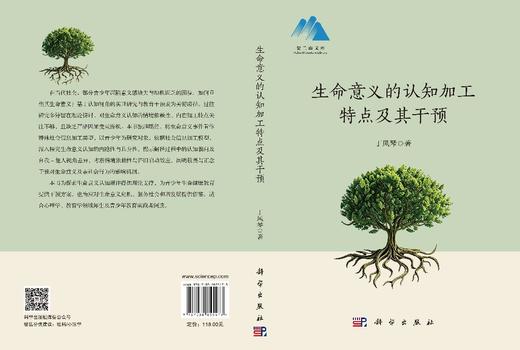 生命意义的认知加工特点及其干预 丁凤琴 9787030855473 商品图3