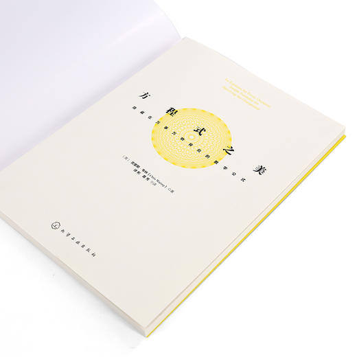方程式之美：隐藏在万事万物背后的数学公式 商品图3