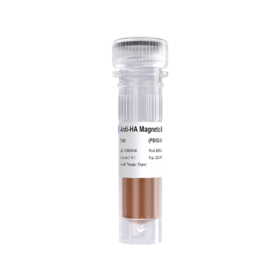 Anti-HA Magnetic Beads