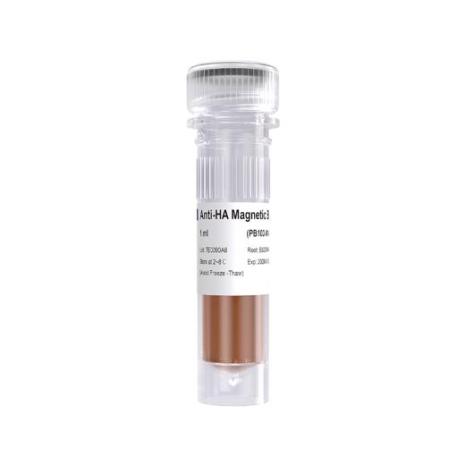 Anti-HA Magnetic Beads 商品图0