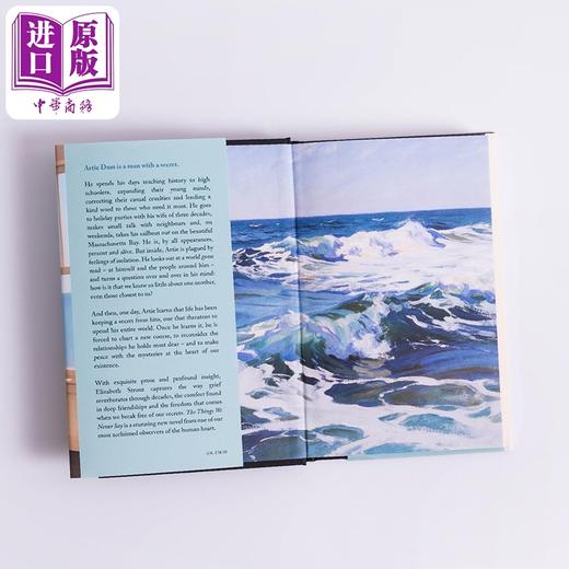 预售 【中商原版】我们从未说出口的话 普利策奖得主伊丽莎白 斯特劳特新作 The Things We Never Say Elizabeth Strout 商品图4