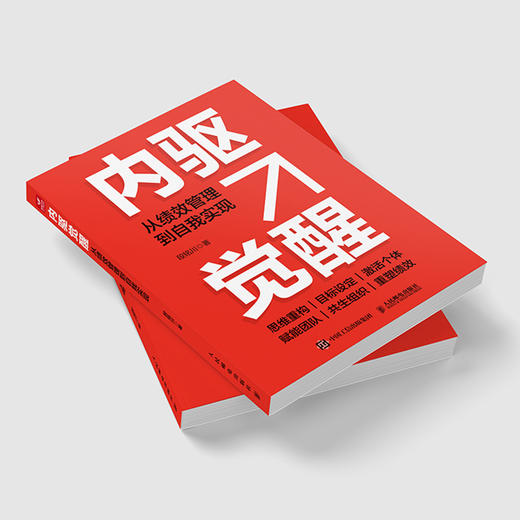 内驱觉醒：从绩效管理到自我实现 绩效管理组织*领导力重塑 企业管理人力资源实战工具书籍 商品图3