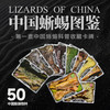“中国蜥蜴图鉴【主题卡牌】” 爬友爬虫爱好者典藏 科普收藏卡 海峡书局【官方正版 48小时发货】 商品缩略图0