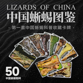 “中国蜥蜴图鉴【主题卡牌】” 爬友爬虫爱好者典藏 科普收藏卡 海峡书局【官方正版 48小时发货】