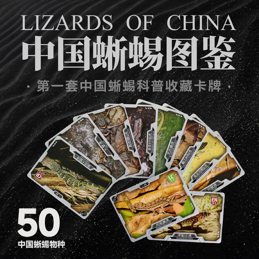 “中国蜥蜴图鉴【主题卡牌】” 爬友爬虫爱好者典藏 科普收藏卡 海峡书局【官方正版 48小时发货】 商品图0