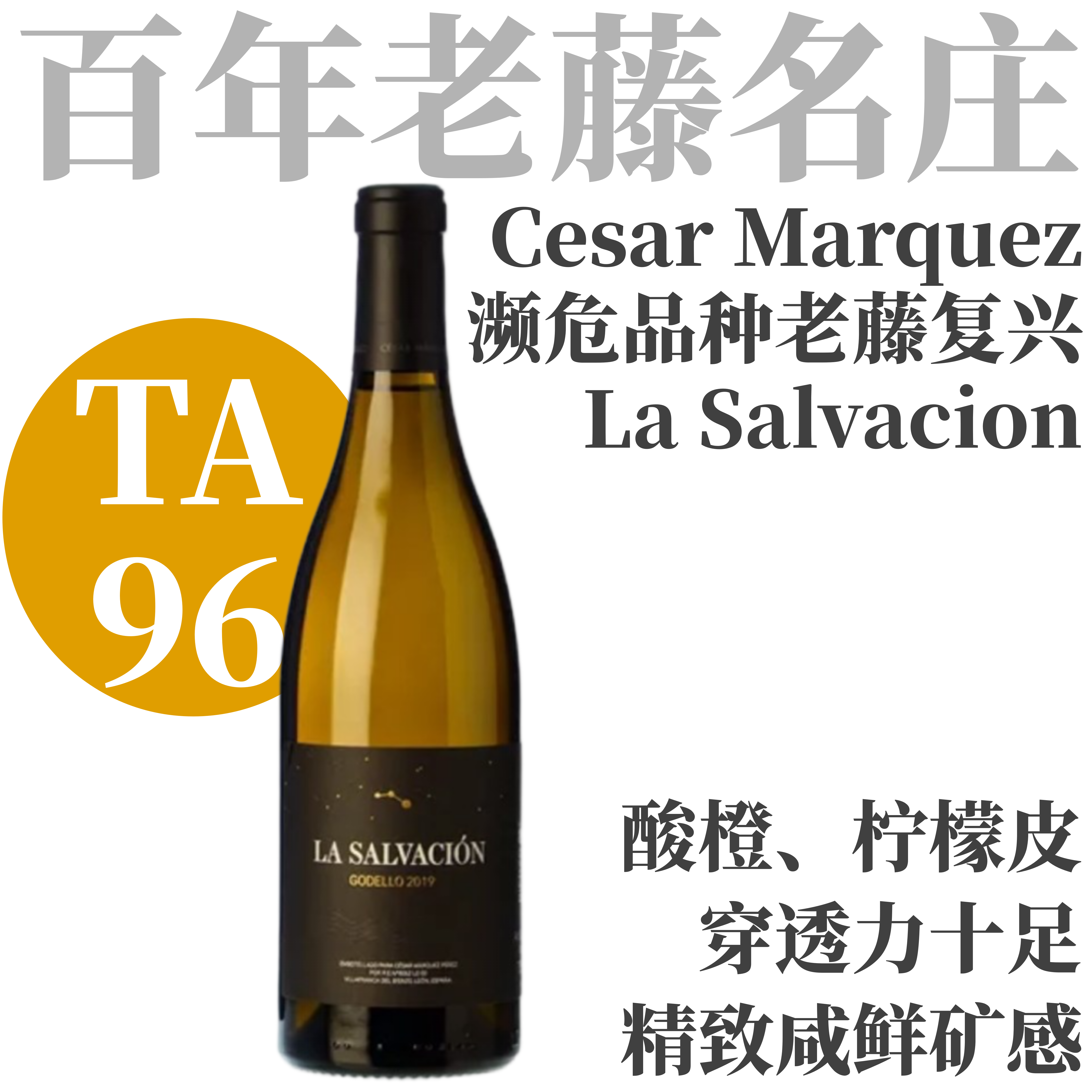 【TA96百年老藤矿质Godello干白】  2023 凯撒马尔克斯酒庄萨尔瓦干白  Cesar Marquez La Salvacion
