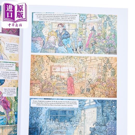 【中商原版】【法文版】法 植物王国 10岁以上 奇幻类图像小说 Plantasia Edition 2026 法文原版 Vincent Dock 商品图2