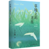 草地上的月亮 丁立梅散文自选集精装 青少年中学生课外读物中考现代文阅读素材治愈暖心散文 江苏凤凰教育出版社 商品缩略图1